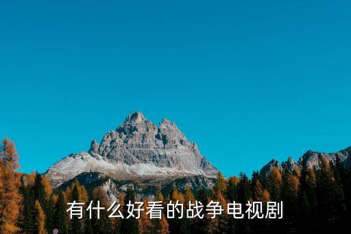 戰爭片電視劇，戰爭類電視劇