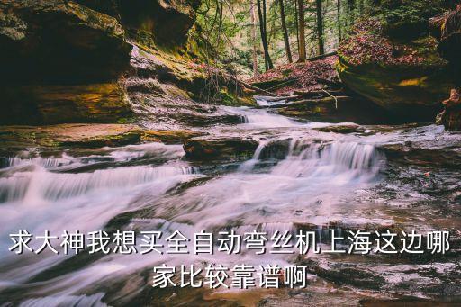 上海市海華機械拉彎機，請問上海通利的鋼筋彎曲機和切斷機是哪個廠家出的在廣東和山東