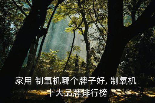 家用 制氧機哪個牌子好, 制氧機 十大品牌排行榜