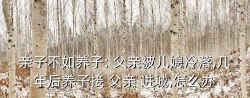 親子不如養(yǎng)子: 父親被兒媳冷落,幾年后養(yǎng)子接 父親 進城,怎么辦
