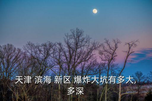 濱海新區爆炸,天津濱海新區發生爆炸坑直徑50m
