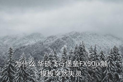 為什么 華碩飛行堡壘FX50jx觸摸板突然失靈