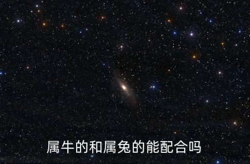 屬牛和屬兔,十二星座名單出爐:牛羊雞年生意會更順利