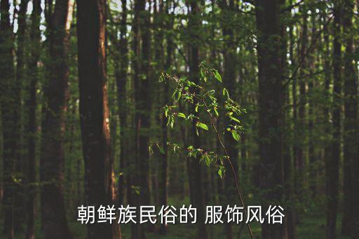 朝鮮族服飾,朝鮮族服裝特點:白色為主色調鮮明