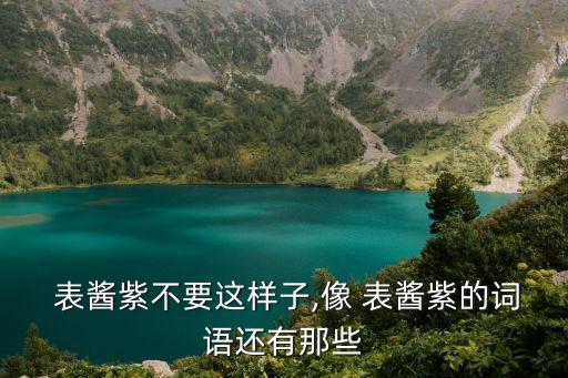 表醬紫,醬紫表示不要這樣表醬紫色意思是醬紫