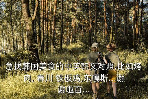 春川鐵板雞,雞架也可以油炸!鐵板上爆炸出香味來!