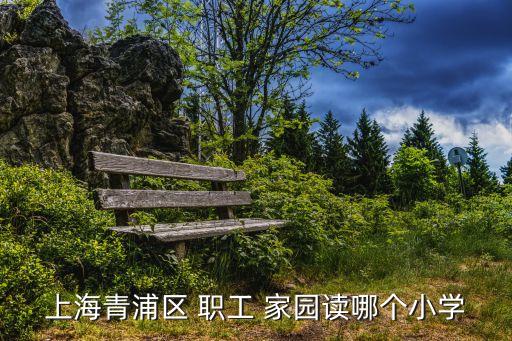 上海青浦區(qū) 職工 家園讀哪個小學