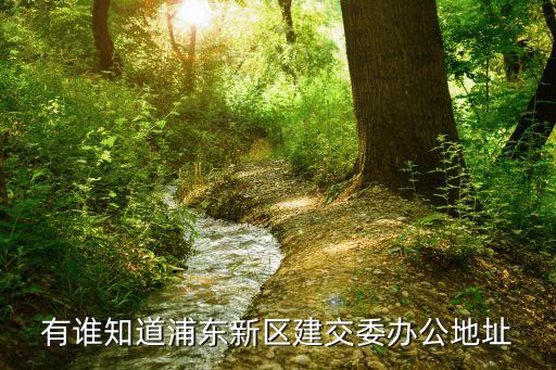 有誰知道浦東新區(qū)建交委辦公地址