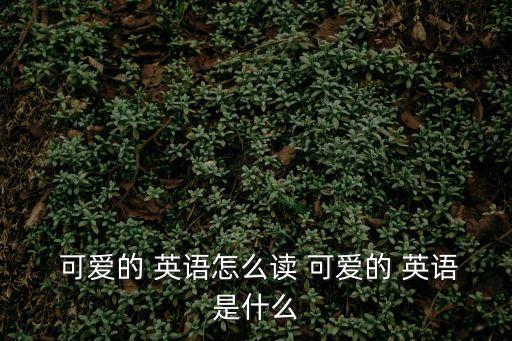 可愛英語,可愛的英文縮寫:grace或grace可愛