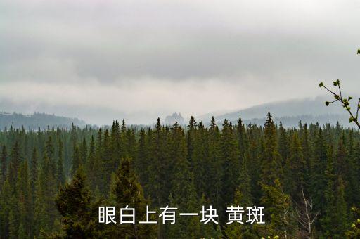 眼白上有黃斑,黃斑網(wǎng)膜后極上下血管弓之間區(qū)域呈黃色