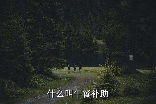 上海市機關午餐補貼，請問放年假有沒有車補和午餐補助平時車補每月100元餐補每天