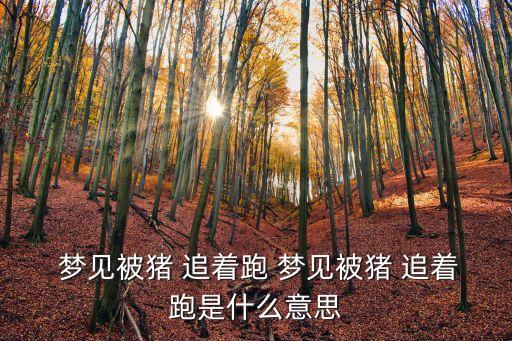 夢見被野豬追著跑,豬年第一輪擁車證投標(biāo)價普遍上揚(yáng)