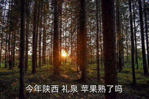 禮泉蘋果,陜西禮泉縣富士蘋果比其他蘋果更耐儲(chǔ)存