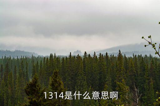 1314是什么意思,愛到愛四川話:一生一世
