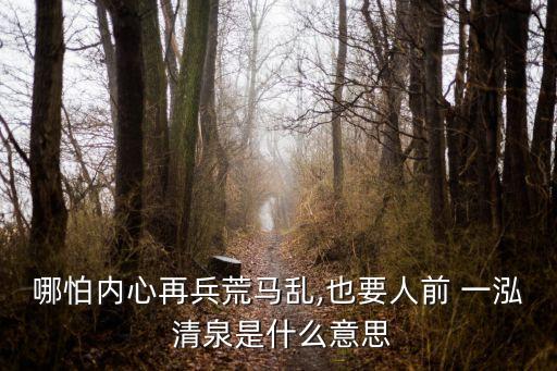 哪怕內心再兵荒馬亂,也要人前 一泓 清泉是什么意思