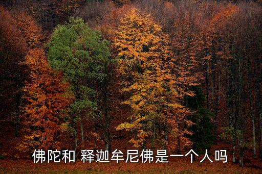 佛祖釋迦牟尼,釋迦牟尼佛祖是印度佛教創始人佛祖