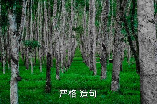 嚴肅造句,第二集:肅穆造句:她有上帝眼睛
