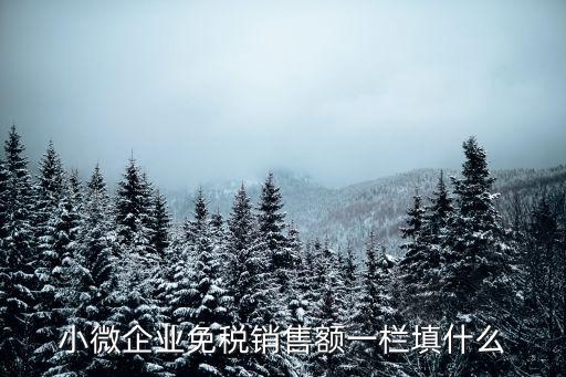 免稅額，小微企業(yè)免稅銷售額一欄填什么