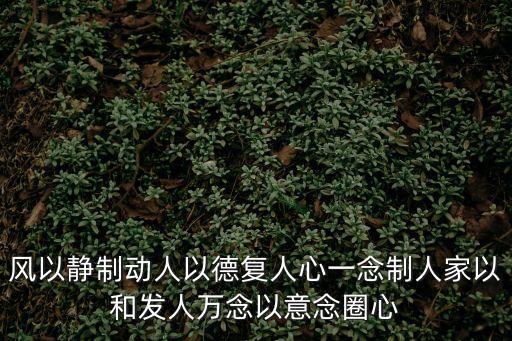 風以靜制動人以德復人心一念制人家以和發人萬念以意念圈心