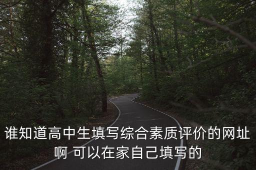 上海市高中生綜評網，為什么用IE8瀏覽器也無法打開上海高中綜合素質網站