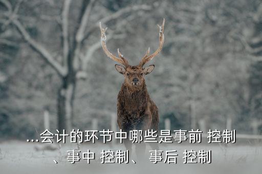 ...會計的環(huán)節(jié)中哪些是事前 控制、事中 控制、 事后 控制