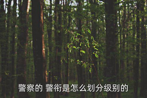 警察的 警銜是怎么劃分級別的