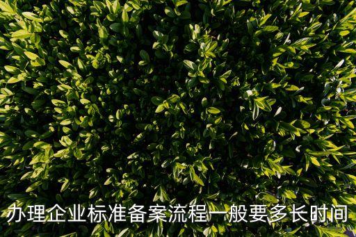 辦理企業標準備案流程一般要多長時間