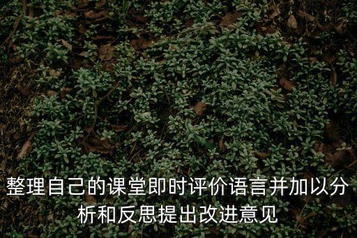 整理自己的課堂即時評價語言并加以分析和反思提出改進意見