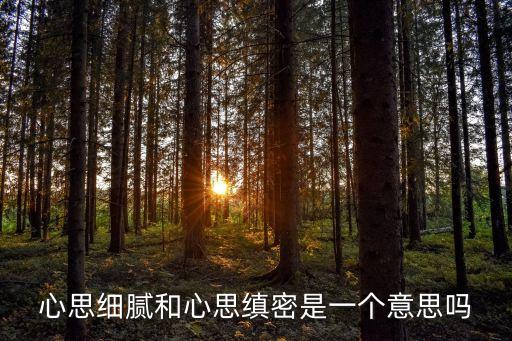 心思細膩和心思縝密是一個意思嗎