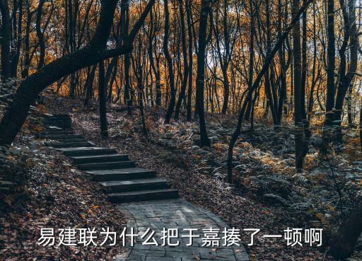于嘉微博,于佳辱罵易建聯(lián)被批評沒貢獻(xiàn)