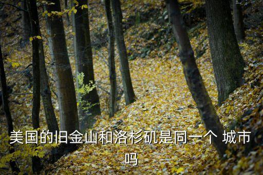 nyc是哪個城市,紐約大都會區是世界上最大城市圈子