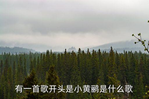 小黃鸝，小黃鸝鳥內(nèi)蒙古民歌