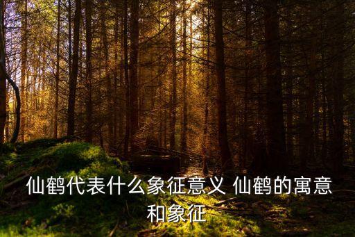 仙鶴,第二集:鶴活百年的故事
