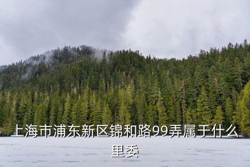上海市浦東新區(qū)錦和路99弄屬于什么里委