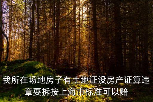我所在場地房子有土地證沒房產(chǎn)證算違章耍拆按上海市標(biāo)準(zhǔn)可以賠