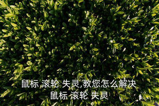 鼠標(biāo)滾輪上下失靈,鼠標(biāo)失靈怎么辦?看這里!