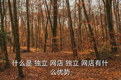 什么是 獨立 網店 獨立 網店有什么優勢