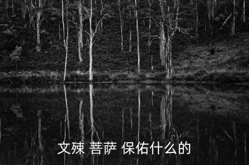 文殊菩薩保佑什么,觀音和地藏菩薩各代表一種精神