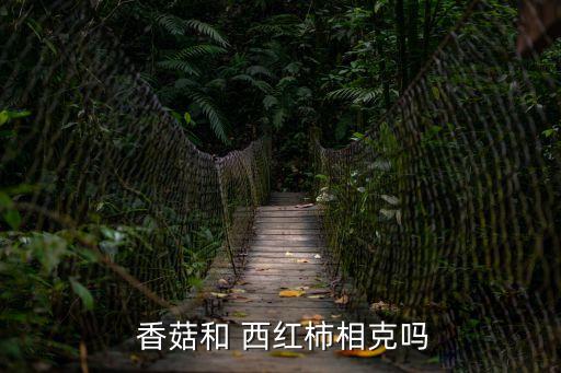 香菇西紅柿,香菇和西紅柿可以一起吃嗎?