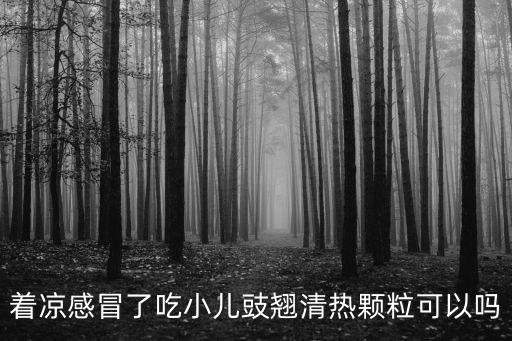 著涼感冒了吃小兒豉翹清熱顆?？梢詥? class=