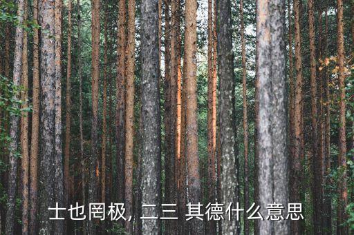 士也罔極, 二三 其德什么意思