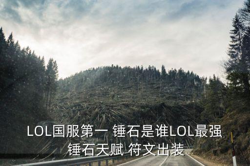 錘石符文,國服第一錘石誰是最強輔助?