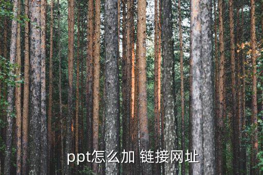  ppt怎么加 鏈接網(wǎng)址