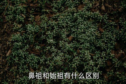 鼻祖,第二集:先驅(qū)與先驅(qū)的故事