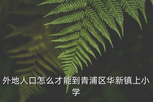 上海市華新小學(xué)招生簡(jiǎn)章，外地人口怎么才能到青浦區(qū)華新鎮(zhèn)上小學(xué)
