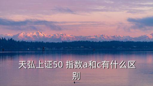 天弘創(chuàng)業(yè)板指數(shù)c,創(chuàng)業(yè)板指數(shù)基金以天弘命名投資于中小企業(yè)