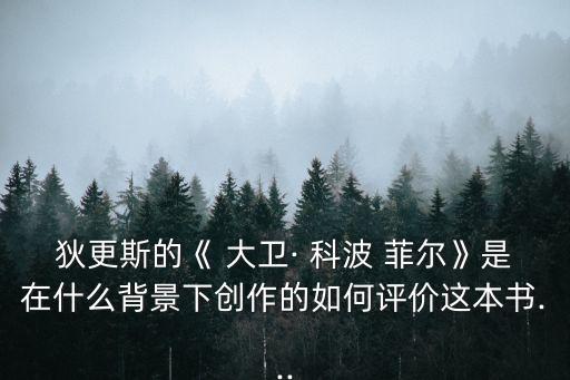 大衛科波菲爾,從孤兒到民主作家大衛科波菲爾的成長歷程