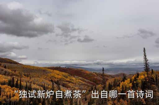 煮茶的詩句,自己試新灶泡茶獨自泡茶感受小雪節氣孤獨