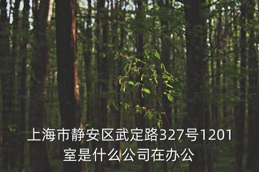 上海市武定路327號301室，上海武定路327號1201室是什么公司