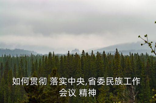 如何貫徹 落實(shí)中央,省委民族工作 會議 精神